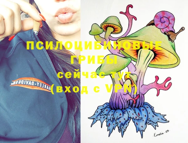герыч Зерноград